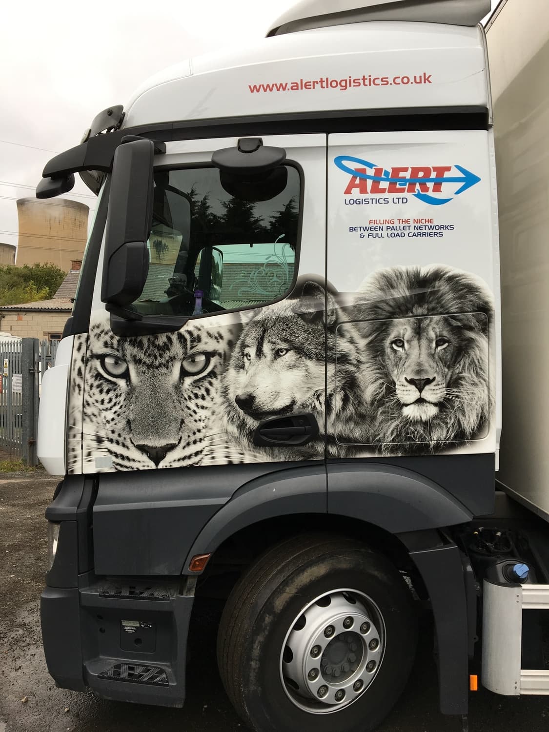 Truck with black panther livery
