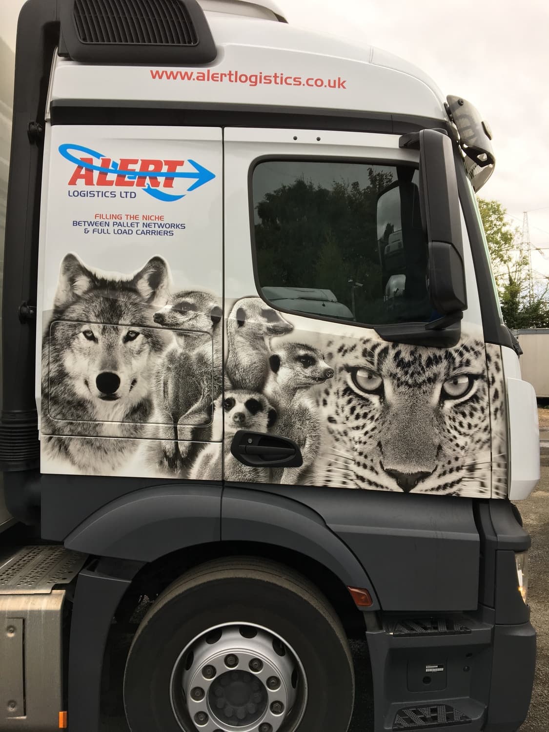 Truck cab with wolf, panther and leopard livery