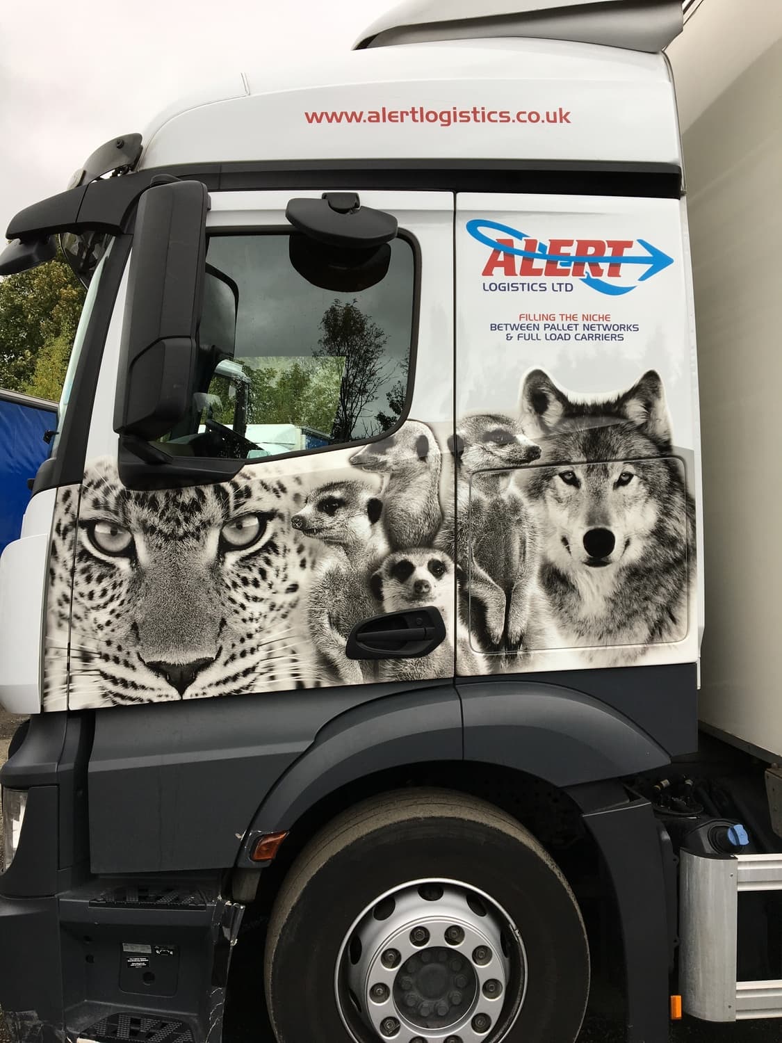 Truck cab with leopard, meerkats and wolf livery