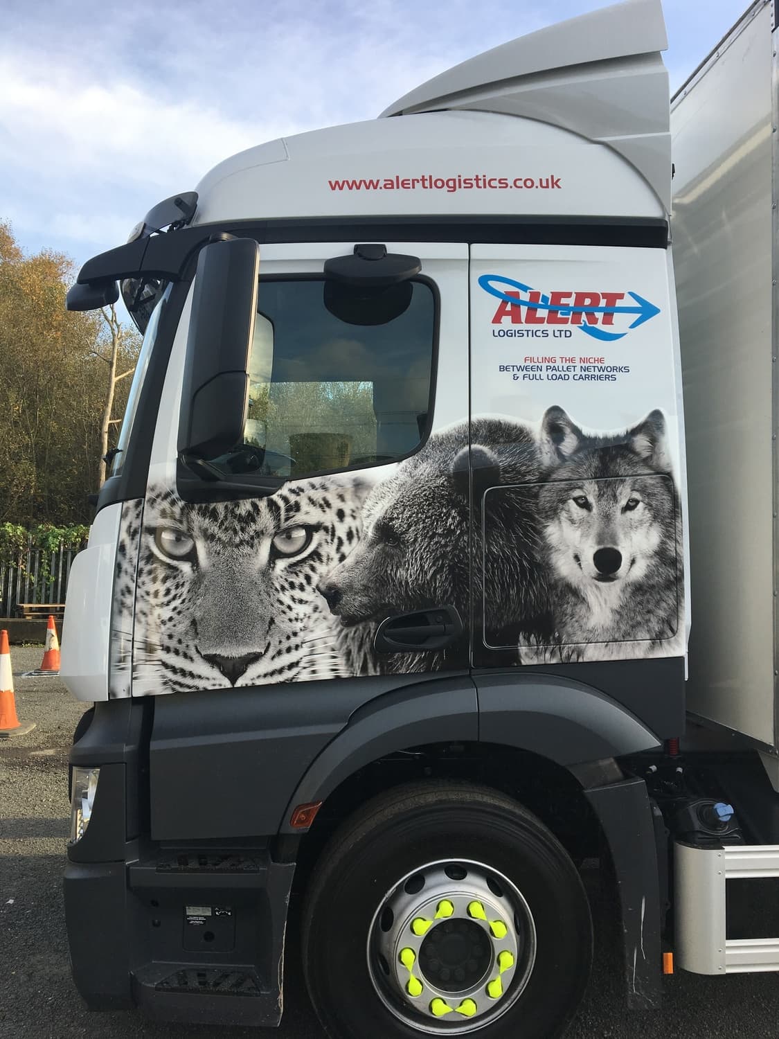 Rear of truck with reclining white tiger