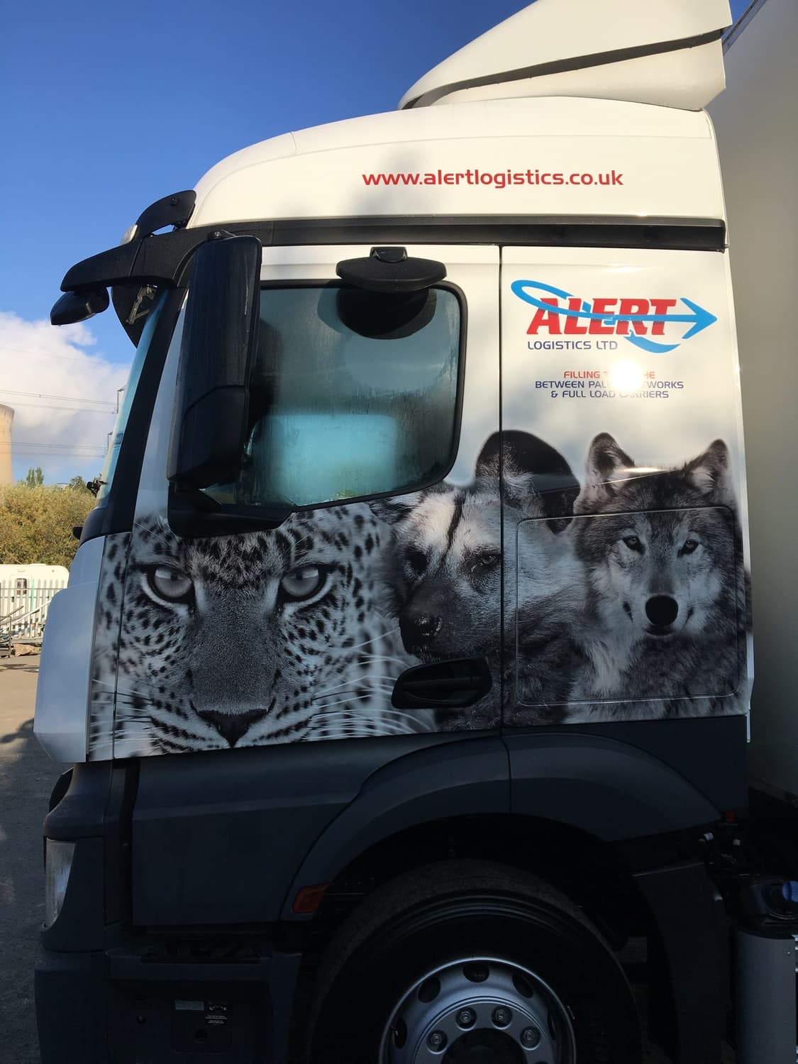 Rear of truck with brown bear panel
