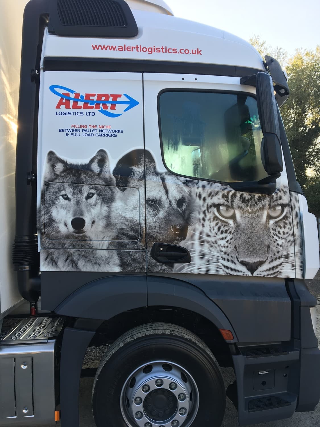 Rear of truck with black panther panel