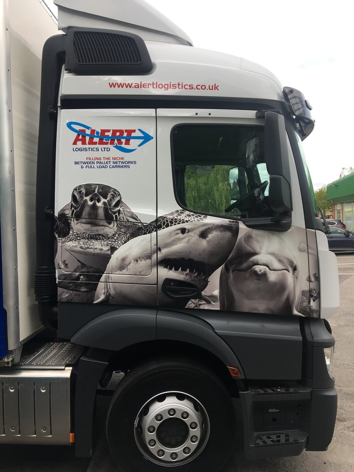 Rear of truck with great white shark panel